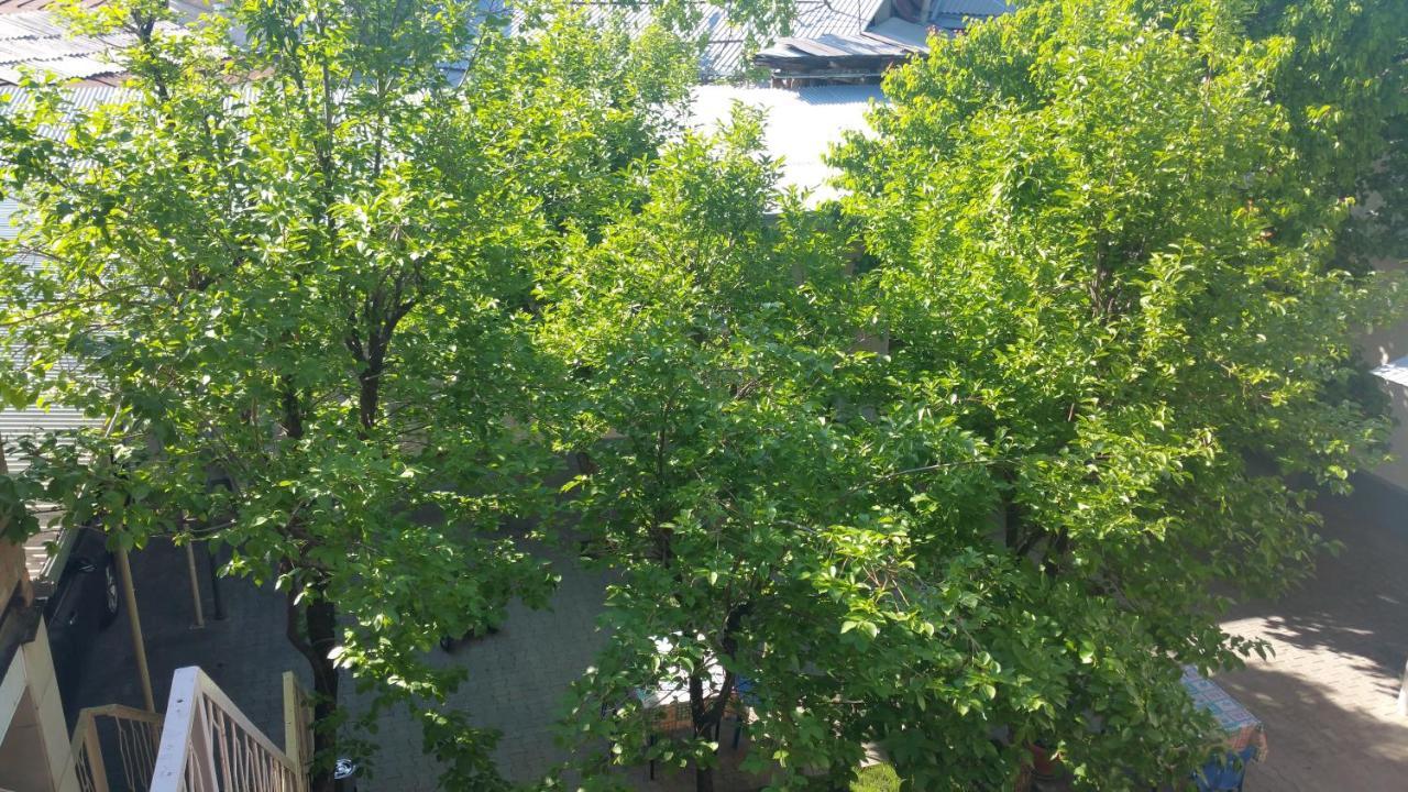 Gulnara Guesthouse Taskent Exterior foto
